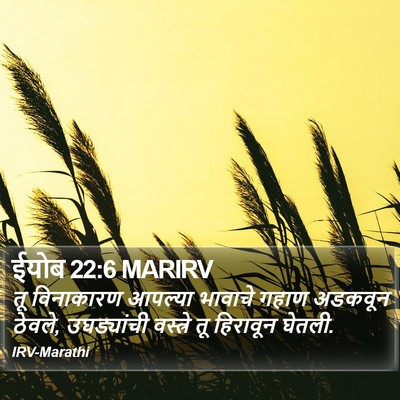 ईयोब 22:6 MARIRV Bible Verse Image