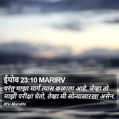 ईयोब 23:10 MARIRV Bible Verse Image