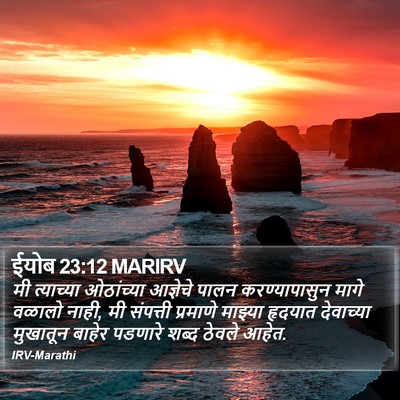 ईयोब 23:12 MARIRV Bible Verse Image
