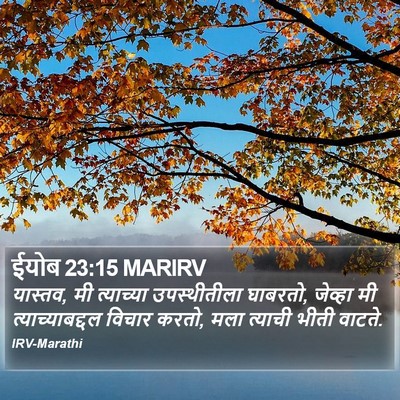 ईयोब 23:15 MARIRV Bible Verse Image