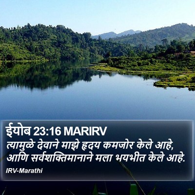 ईयोब 23:16 MARIRV Bible Verse Image