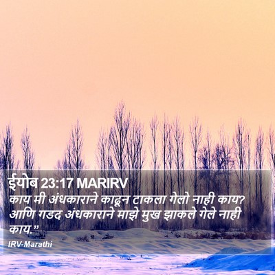 ईयोब 23:17 MARIRV Bible Verse Image