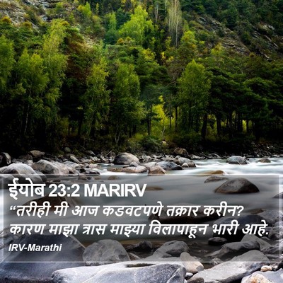 ईयोब 23:2 MARIRV Bible Verse Image
