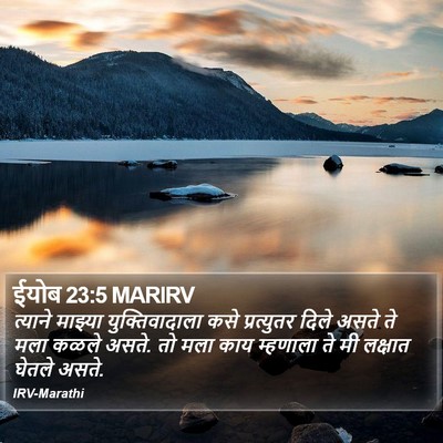 ईयोब 23:5 MARIRV Bible Verse Image