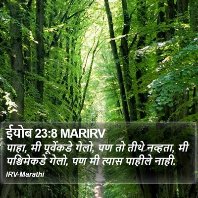 ईयोब 23:8 MARIRV Bible Verse Image