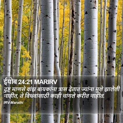 ईयोब 24:21 MARIRV Bible Verse Image