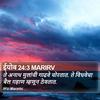 ईयोब 24:3 MARIRV Bible Verse Image