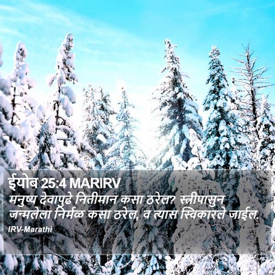 ईयोब 25:4 MARIRV Bible Verse Image