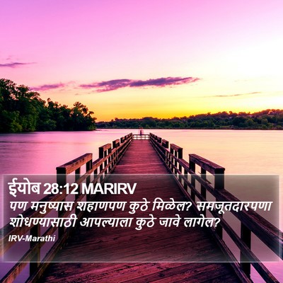 ईयोब 28:12 MARIRV Bible Verse Image