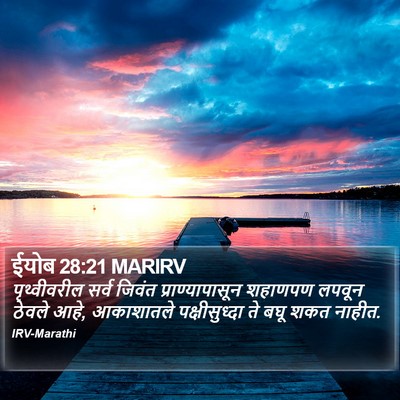 ईयोब 28:21 MARIRV Bible Verse Image