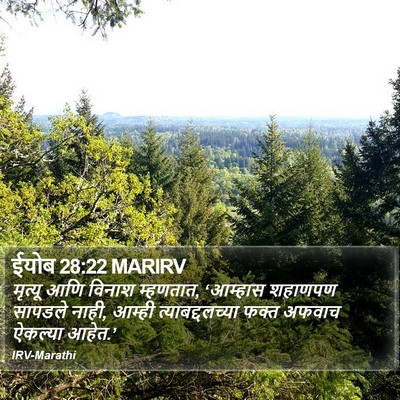 ईयोब 28:22 MARIRV Bible Verse Image