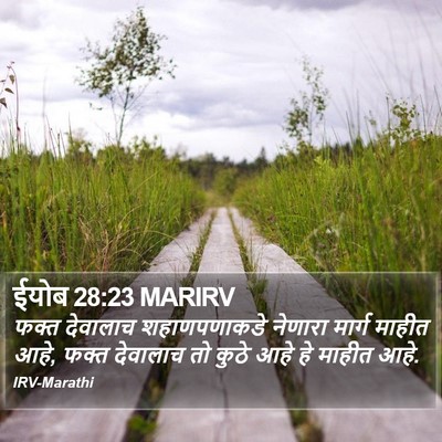 ईयोब 28:23 MARIRV Bible Verse Image