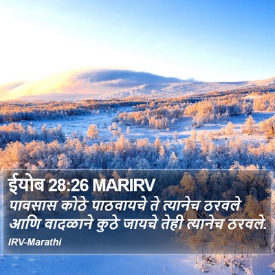 ईयोब 28:26 MARIRV Bible Verse Image