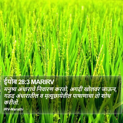 ईयोब 28:3 MARIRV Bible Verse Image