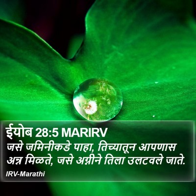 ईयोब 28:5 MARIRV Bible Verse Image
