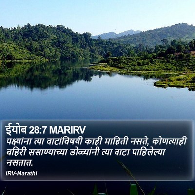 ईयोब 28:7 MARIRV Bible Verse Image