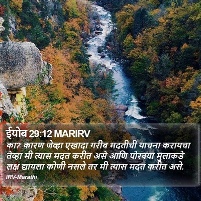 ईयोब 29:12 MARIRV Bible Verse Image