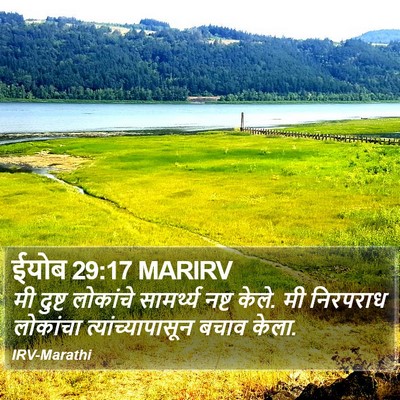 ईयोब 29:17 MARIRV Bible Verse Image