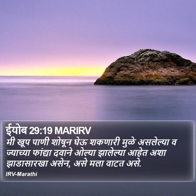 ईयोब 29:19 MARIRV Bible Verse Image