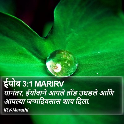 ईयोब 3:1 MARIRV Bible Verse Image