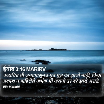 ईयोब 3:16 MARIRV Bible Verse Image