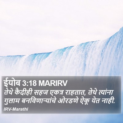 ईयोब 3:18 MARIRV Bible Verse Image