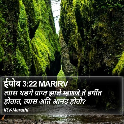 ईयोब 3:22 MARIRV Bible Verse Image
