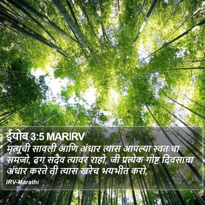ईयोब 3:5 MARIRV Bible Verse Image