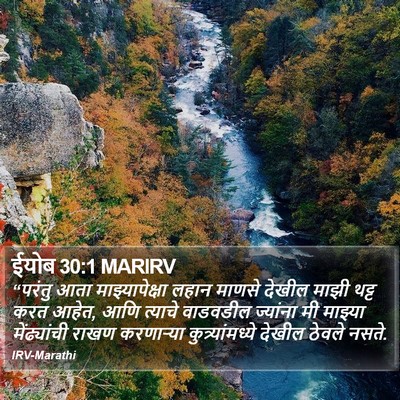 ईयोब 30:1 MARIRV Bible Verse Image
