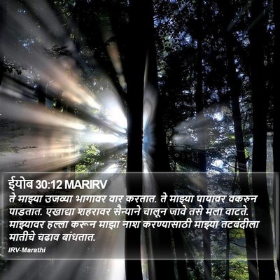 ईयोब 30:12 MARIRV Bible Verse Image