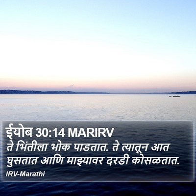 ईयोब 30:14 MARIRV Bible Verse Image