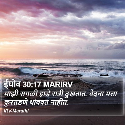 ईयोब 30:17 MARIRV Bible Verse Image