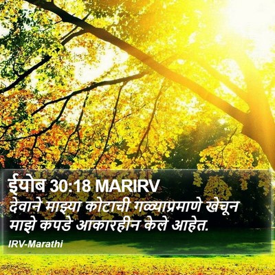 ईयोब 30:18 MARIRV Bible Verse Image