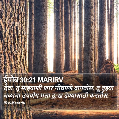 ईयोब 30:21 MARIRV Bible Verse Image