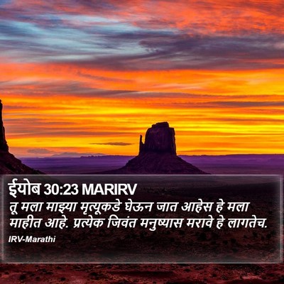 ईयोब 30:23 MARIRV Bible Verse Image