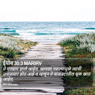ईयोब 30:3 MARIRV Bible Verse Image