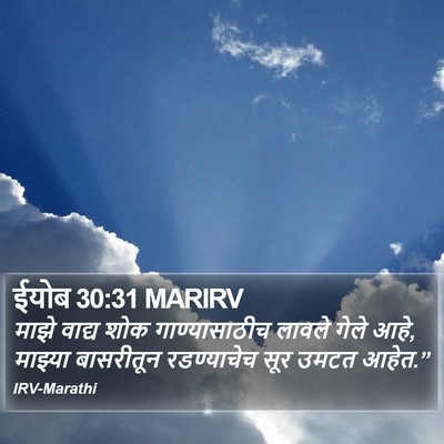 ईयोब 30:31 MARIRV Bible Verse Image