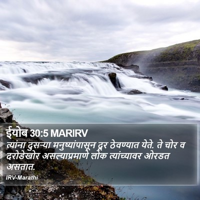 ईयोब 30:5 MARIRV Bible Verse Image