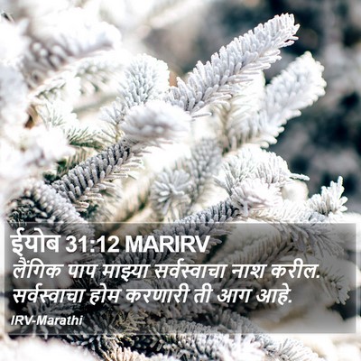 ईयोब 31:12 MARIRV Bible Verse Image