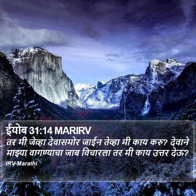 ईयोब 31:14 MARIRV Bible Verse Image