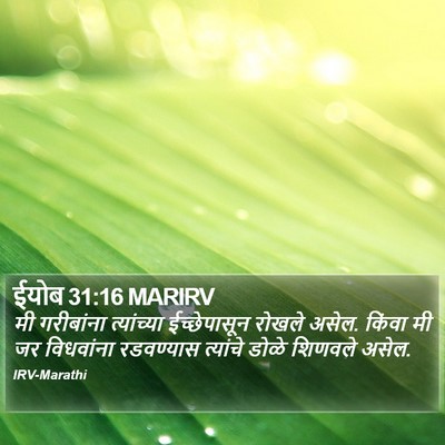 ईयोब 31:16 MARIRV Bible Verse Image