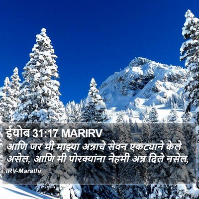 ईयोब 31:17 MARIRV Bible Verse Image