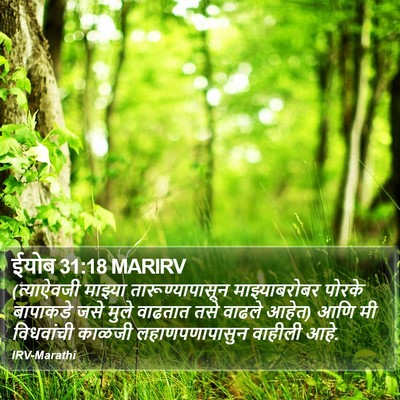 ईयोब 31:18 MARIRV Bible Verse Image