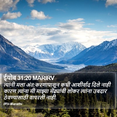 ईयोब 31:20 MARIRV Bible Verse Image