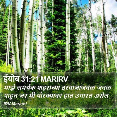 ईयोब 31:21 MARIRV Bible Verse Image