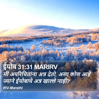 ईयोब 31:31 MARIRV Bible Verse Image
