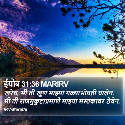 ईयोब 31:36 MARIRV Bible Verse Image