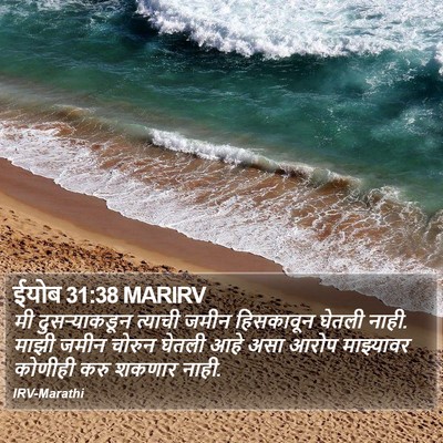 ईयोब 31:38 MARIRV Bible Verse Image