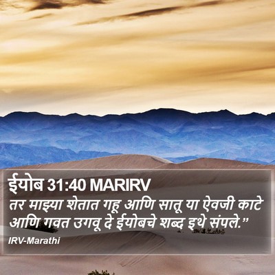 ईयोब 31:40 MARIRV Bible Verse Image