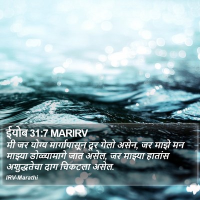ईयोब 31:7 MARIRV Bible Verse Image